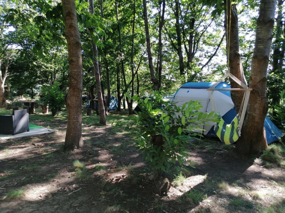 La Finca - Campamento En La Naturaleza Carranceja Exterior foto