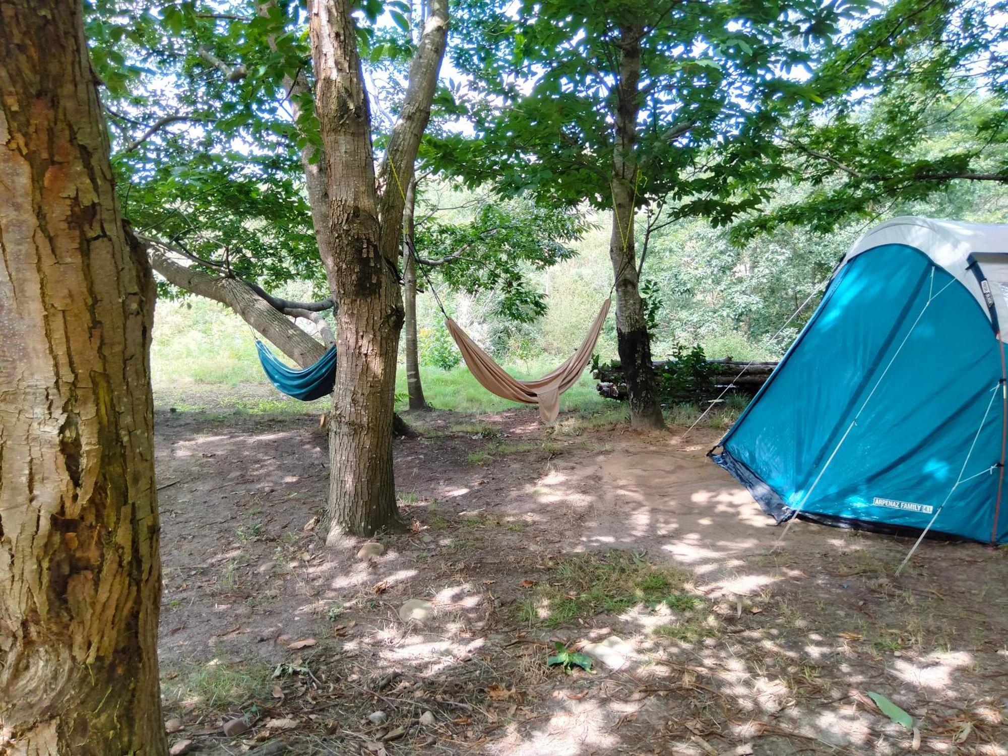 La Finca - Campamento En La Naturaleza Carranceja Quarto foto