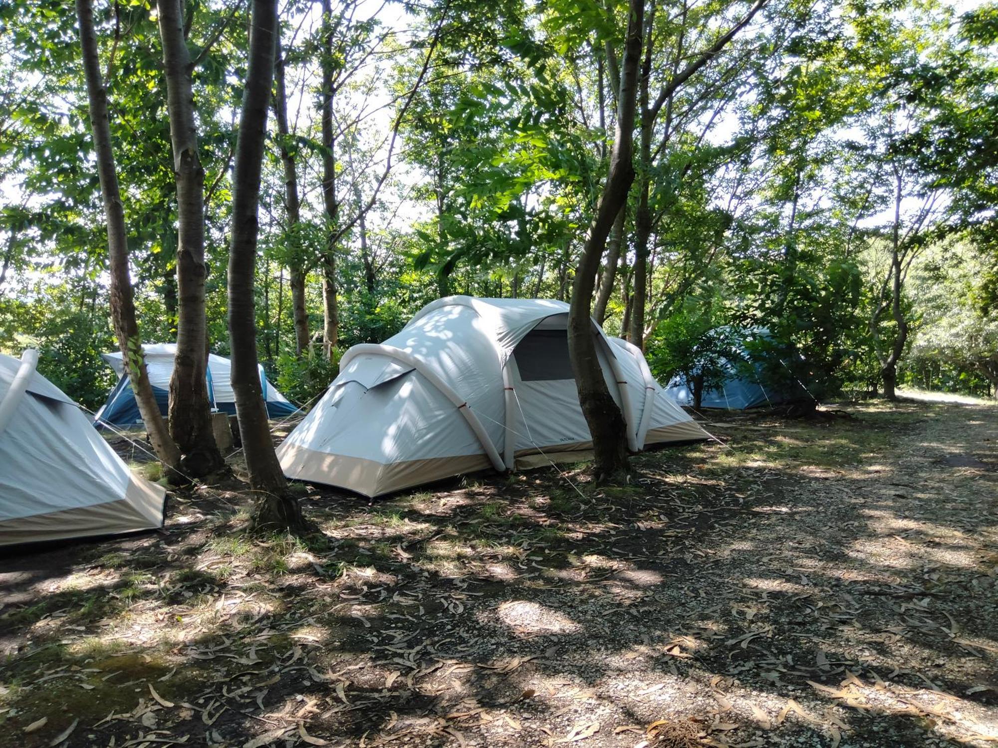 La Finca - Campamento En La Naturaleza Carranceja Quarto foto