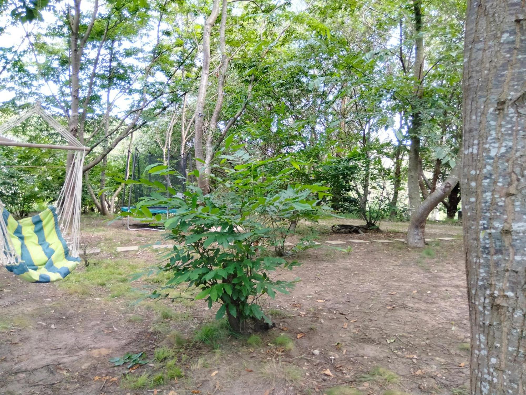 La Finca - Campamento En La Naturaleza Carranceja Quarto foto